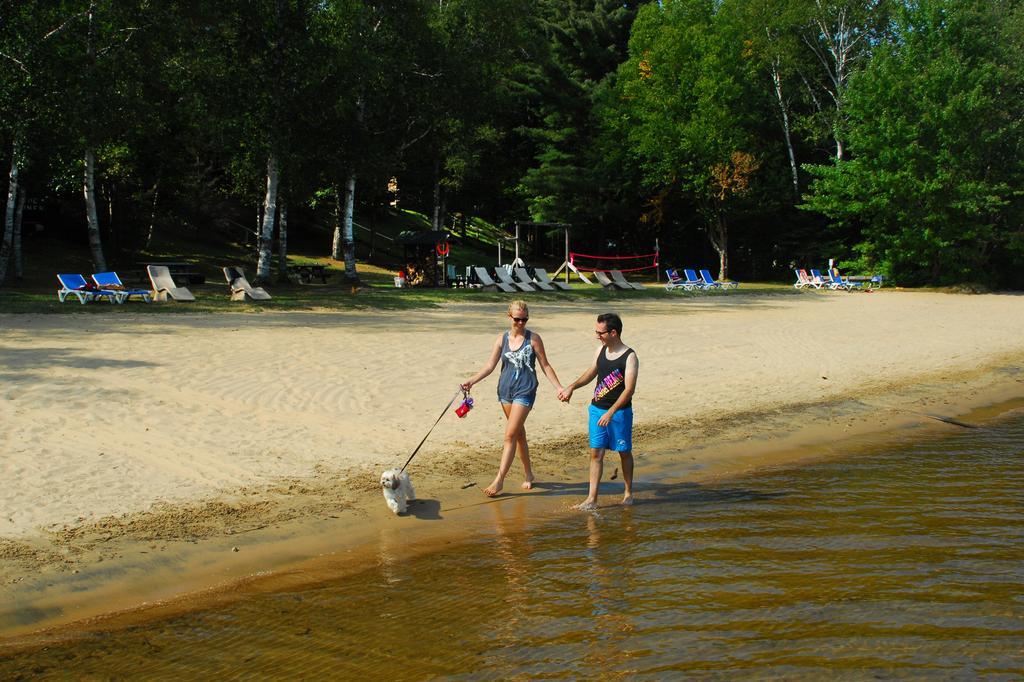 The Pines Cottage Resort Oxtongue Lake Exterior photo